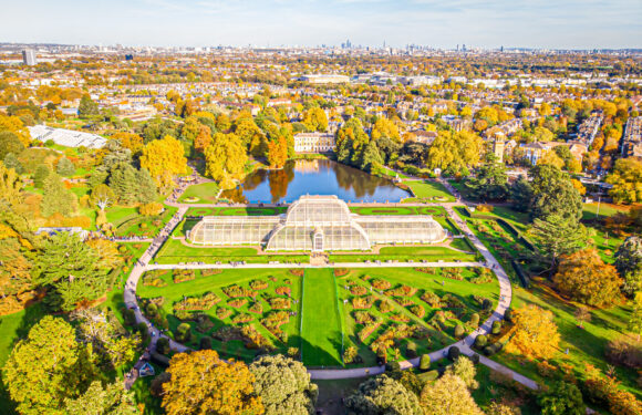 Luxury Hotels Near Kew Gardens