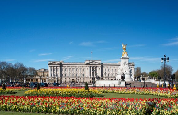 Buckingham Palace Guide for Visitors